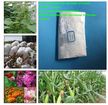 the usage of Triacontanol